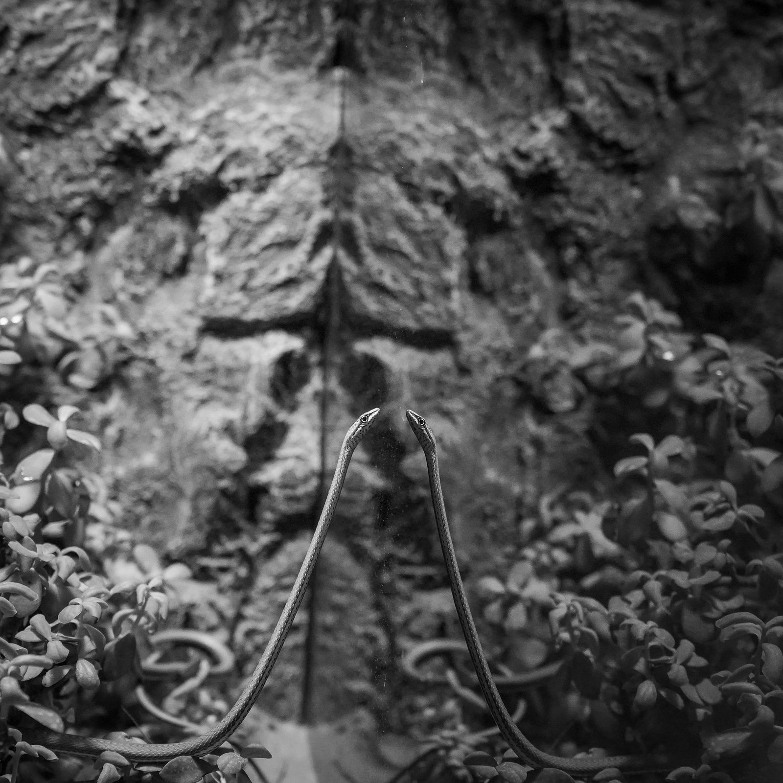 Landscape photograph — Frame 33