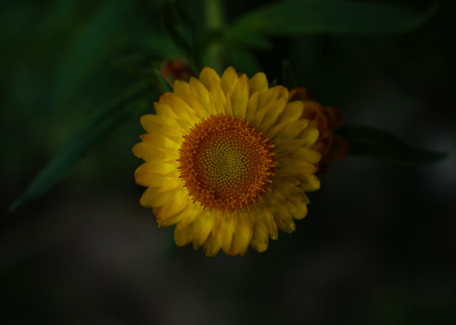 Landscape photograph — Frame 25