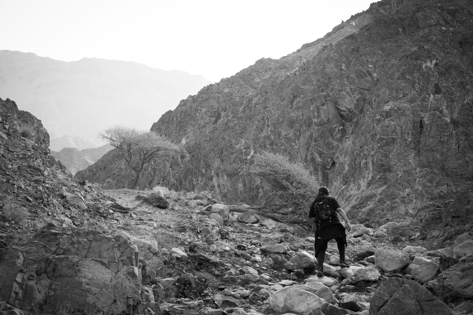Landscape photograph — Frame 24