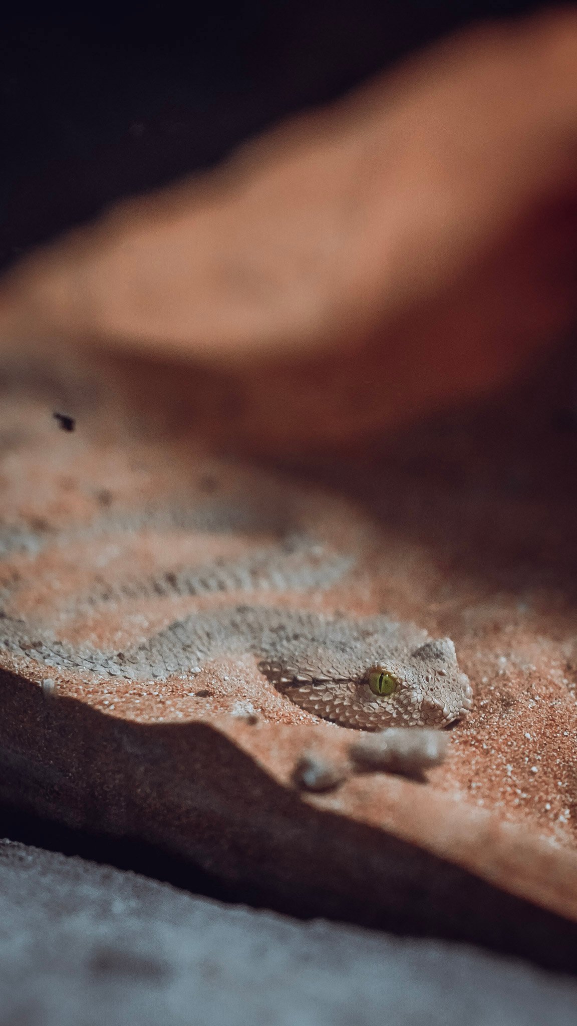 Streets photograph — Frame 04