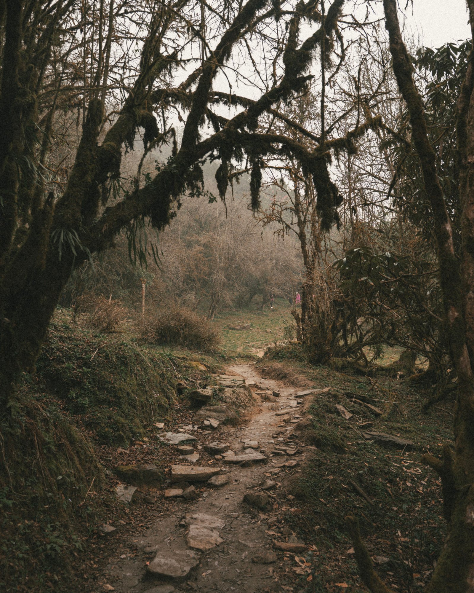 Streets photograph — Frame 29