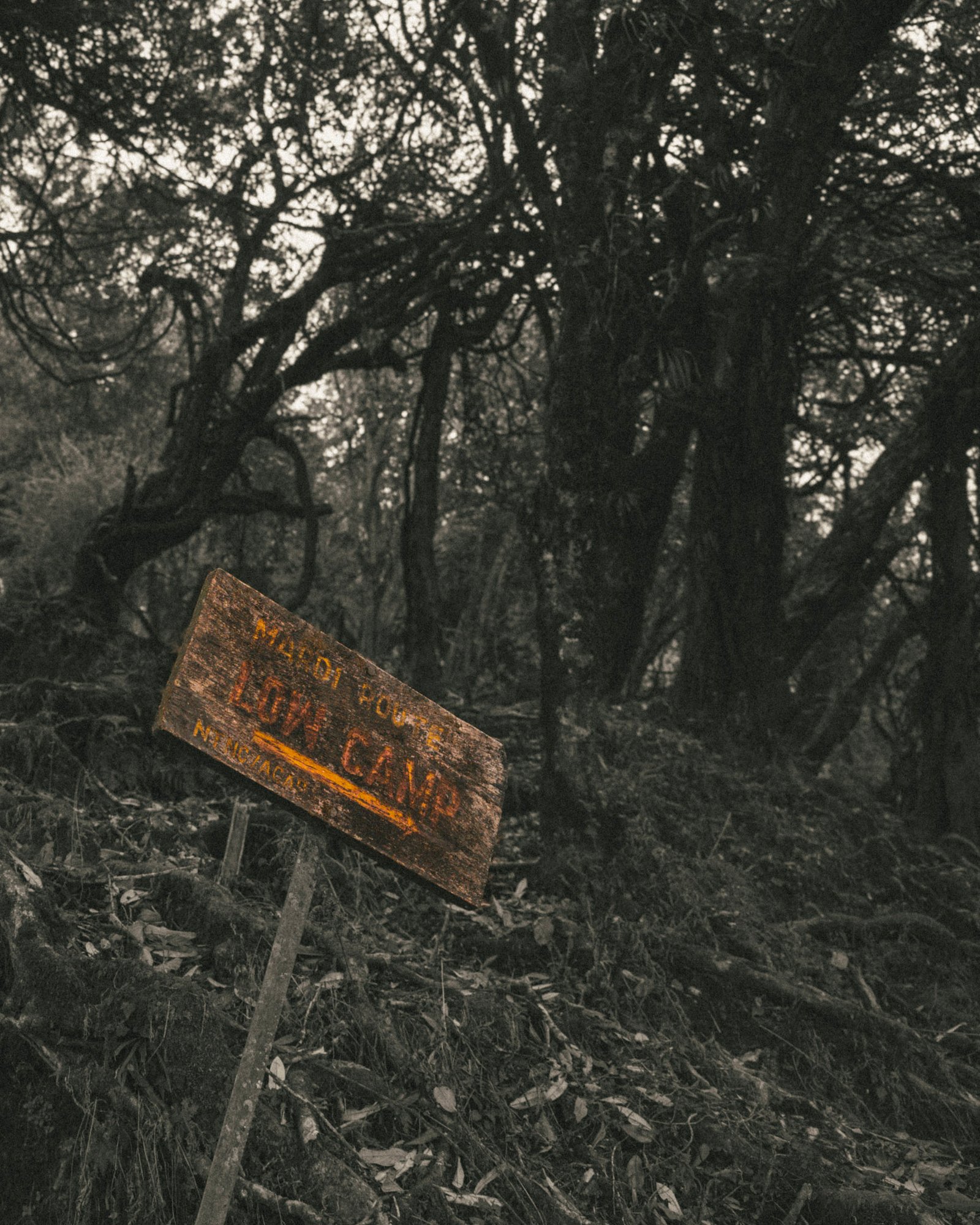 Streets photograph — Frame 33